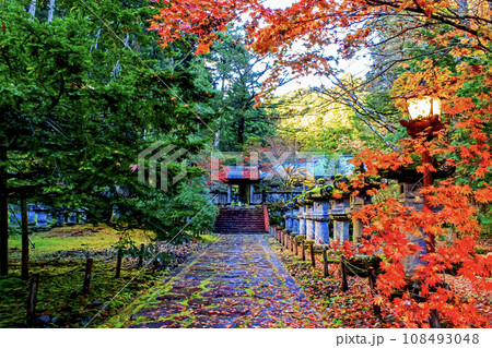 【栃木】秋の日光山輪王寺大猷院　紅葉の落ち葉と苔むす石灯篭 108493048