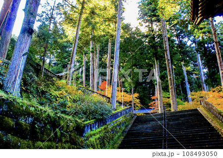 【栃木】秋の日光山輪王寺大猷院　二天門から見上げる夜叉門と石段 108493050