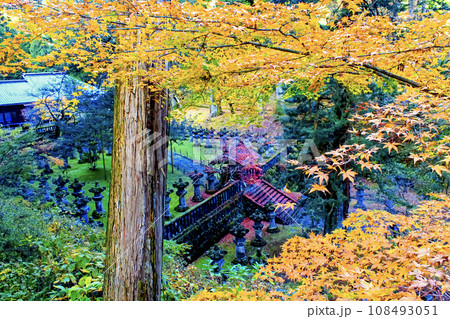 【栃木】秋の日光山輪王寺大猷院 木々の間から見下ろす石の灯籠 【栃木】秋の日光山輪王寺大猷院 木々の間から見下ろす石の灯籠 108493051