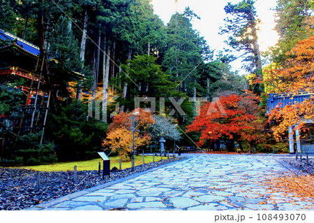 【栃木】秋の日光山輪王寺大猷院 夕暮れ時の二天門と鮮やかな紅葉 【栃木】秋の日光山輪王寺大猷院 夕暮れ時の二天門と鮮やかな紅葉 108493070