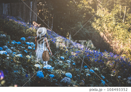 Traveler asian woman travel in flower garden at Chiang Mai Thailand 108493352