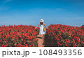 Traveler asian woman travel in flower garden at Chiang Mai Thailand 108493356