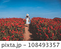 Traveler asian woman travel in flower garden at Chiang Mai Thailand 108493357
