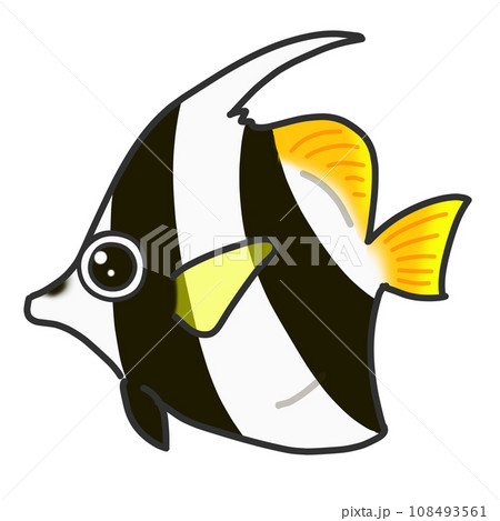 黄色と黒のしましまが可愛いハタタテダイという熱帯魚のイラスト 黄色と黒のしましまが可愛いハタタテダイという熱帯魚のイラスト 108493561