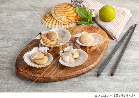 Raw natural scallop in its shell Raw natural scallop in its shell 108494737
