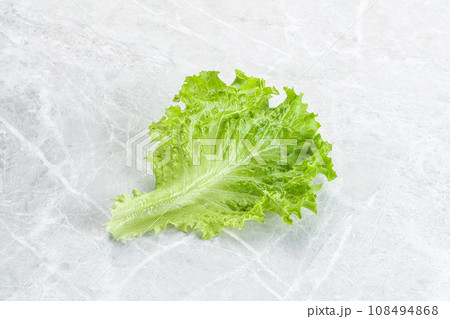 Ripe green salad lettuce leaf 108494868