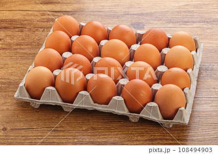 Organic chicken egg in the carton 108494903