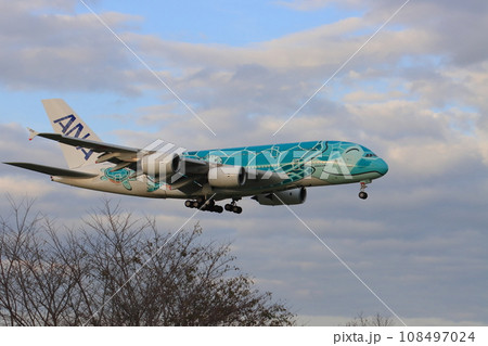 フライングホヌ エアバスA380 フライングホヌ エアバスA380 108497024