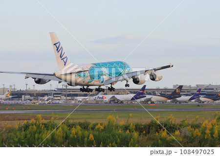 フライングホヌ エアバスA380 フライングホヌ エアバスA380 108497025