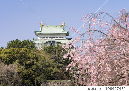 名古屋城と枝垂れ桜 名古屋城と枝垂れ桜 108497483