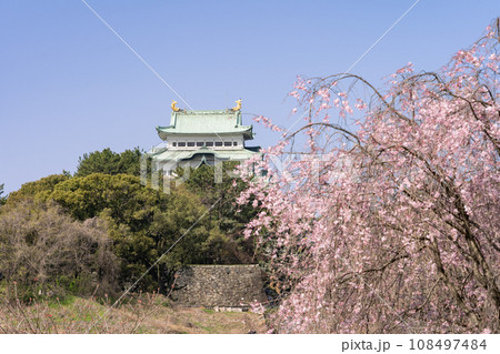 名古屋城と枝垂れ桜 名古屋城と枝垂れ桜 108497484