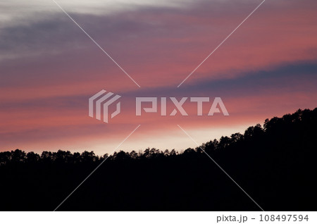 Forest at sunset. Forest at sunset. 108497594
