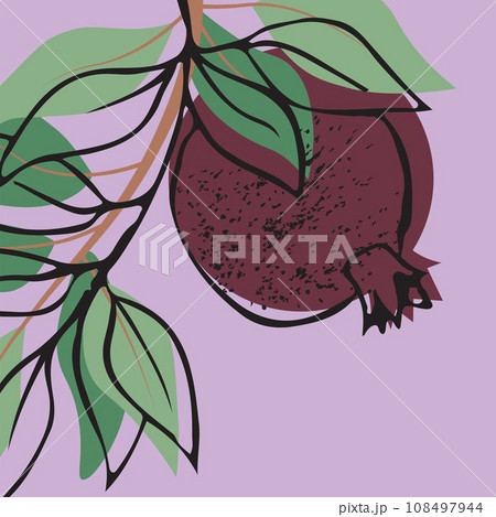 Square vector illustration with pomegranate branches, leaves, and fruit Square vector illustration with pomegranate branches, leaves, and fruit 108497944