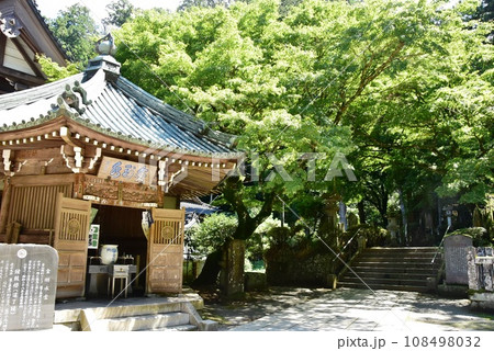 南足柄市　大雄山最乗寺の金剛水堂と参道と深緑 108498032
