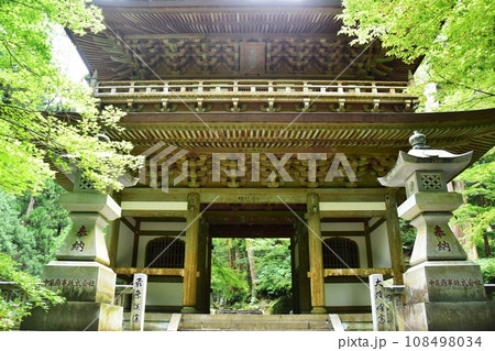 南足柄市　大雄山最乗寺の三門と深緑 108498034