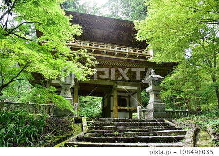 南足柄市 大雄山最乗寺の三門と深緑 南足柄市 大雄山最乗寺の三門と深緑 108498035