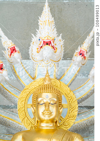 Naga Prok Buddha image sitting cross legs with legs locked together and having a King of Nagas behind it. Naga Prok Buddha image sitting cross legs with legs locked together and having a King of Nagas behind it. 108499013