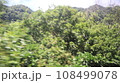 屋外 野外 アウトドア 108499078