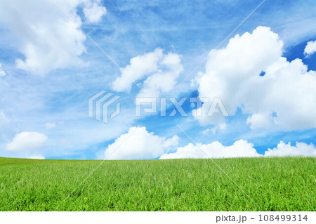 爽やかな夏の青空と新緑の草原風景 爽やかな夏の青空と新緑の草原風景 108499314