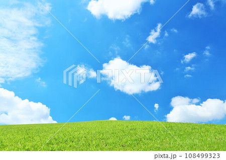 爽やかな夏の青空と新緑の草原風景 爽やかな夏の青空と新緑の草原風景 108499323