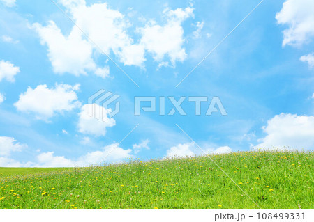 爽やかな夏の青空と新緑の草原風景 爽やかな夏の青空と新緑の草原風景 108499331