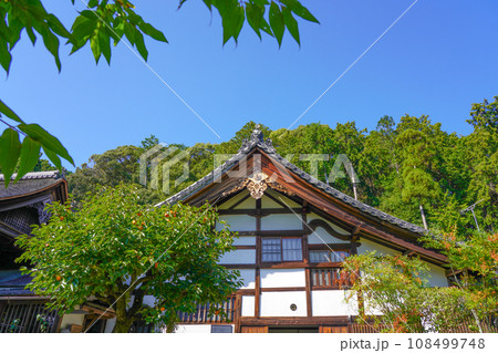 京都・正伝寺（方丈の前庭、枯山水、比叡山の借景式庭園） 108499748