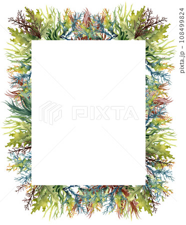 Seaweed underwater plants. Green Laminaria watercolor illustartion. Nautical frame 108499824