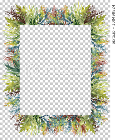 Seaweed underwater plants. Green Laminaria watercolor illustartion. Nautical frame 108499824