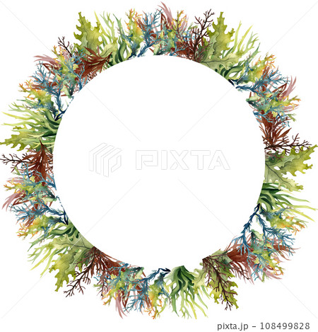 Seaweed underwater plants. Green Laminaria watercolor illustartion. Nautical frame 108499828