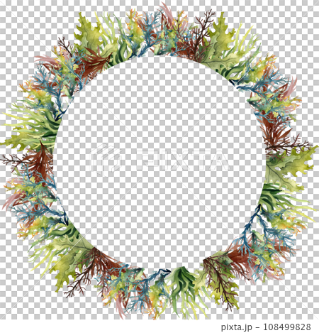 Seaweed underwater plants. Green Laminaria watercolor illustartion. Nautical frame 108499828