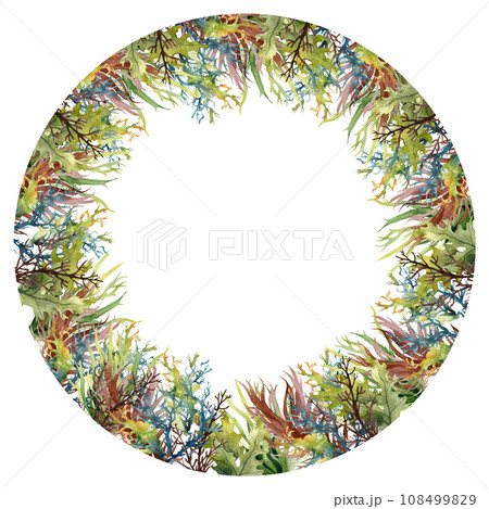 Seaweed underwater plants. Green Laminaria watercolor illustartion. Nautical frame 108499829