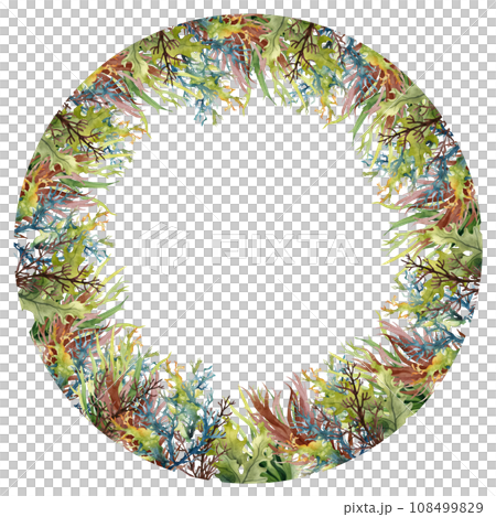 Seaweed underwater plants. Green Laminaria watercolor illustartion. Nautical frame 108499829