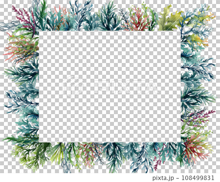 Seaweed underwater plants. Green Laminaria watercolor illustartion. Nautical frame 108499831