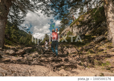 Family hiking in the mountain at summer 108500176