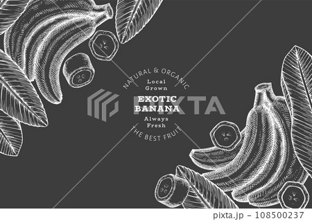 Hand drawn sketch style banana banner. Organic fresh fruit vector illustration on chalk board. Retro exotic fruit design template 108500237