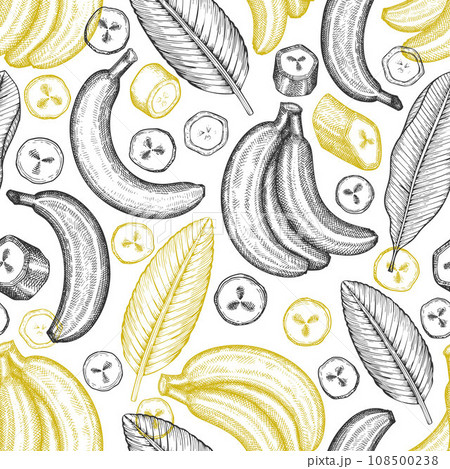 Hand drawn sketch style banana seamless pattern. Organic fresh fruit vector illustration. Retro exotic fruit background 108500238