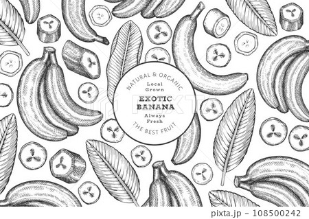 Hand drawn sketch style banana banner. Organic fresh fruit vector illustration. Retro exotic fruit design template 108500242