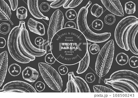 Hand drawn sketch style banana banner. Organic fresh fruit vector illustration on chalk board. Retro exotic fruit design template 108500243