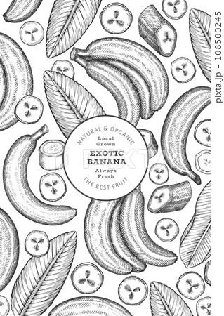 Hand drawn sketch style banana banner. Organic fresh fruit vector illustration. Retro exotic fruit design template 108500245