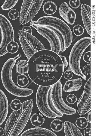Hand drawn sketch style banana banner. Organic fresh fruit vector illustration on chalk board. Retro exotic fruit design template 108500246