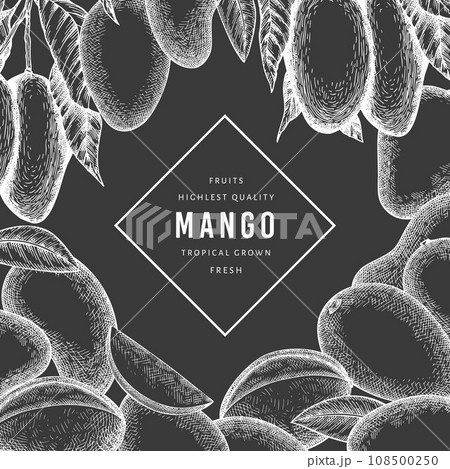 Hand drawn sketch style mango banner. Organic fresh fruit vector illustration on chalk board. Retro mango fruit design template 108500250