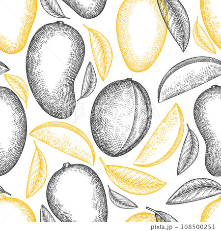 Hand drawn sketch style mango seamless pattern. Organic fresh fruit vector illustration. Retro mango fruit background. 108500251