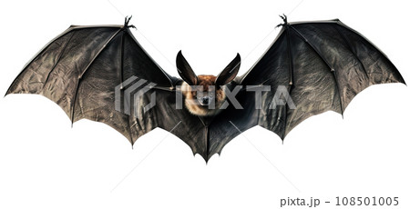 Scary Halloween bat isolated on white background. Happy Halloween. Spooky flying character, cut out. Trick or treat. Generative AI. 108501005
