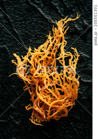 Irish sea moss. Chondrus Crispus, healthy organic raw seaweed, a close-up Irish sea moss. Chondrus Crispus, healthy organic raw seaweed, a close-up 108501301