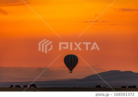 Kenyan Landscape Sunset Sunrise Sundowner Wildlife animals savannah grassland wilderness hill shrubs great rift valley maasai mara national game reserve narok county kenya east africa 108501372