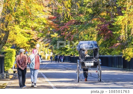 秋の角館武家屋敷通り　人力車と紅葉　秋田県仙北市 108501763