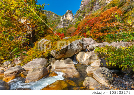 秋の昇仙峡　絶景の渓谷　（山梨県） 108502175
