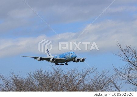 フライングホヌ　エアバスA380　1号機 108502926