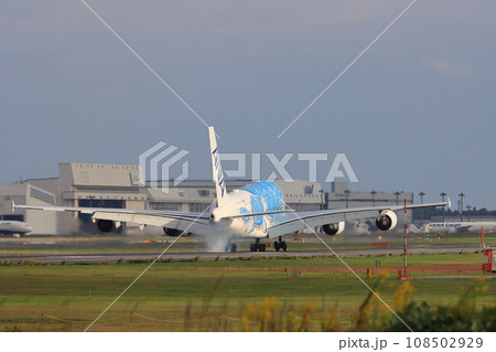 フライングホヌ　エアバスA380　1号機 108502929