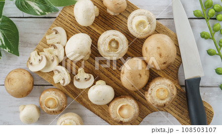 2種類のマッシュルーム(ホワイトとブラウン) 108503107